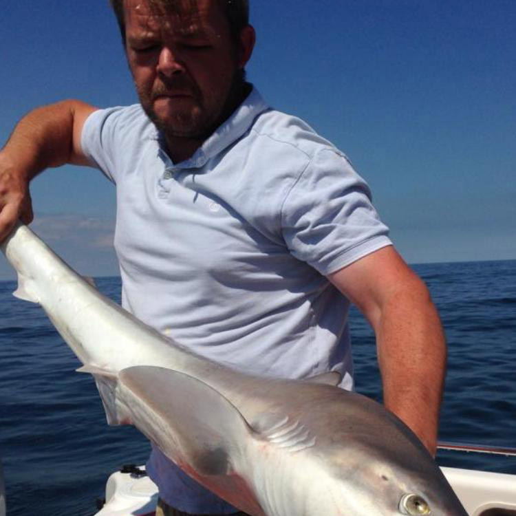Smoothound caught on a day charter fishing trip out of Wells-Next-The-Sea, Norfolk